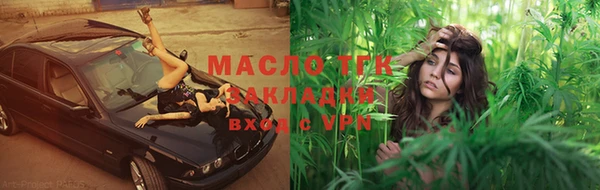 шишки Арсеньев