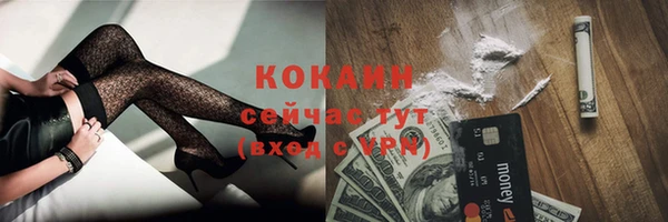 шишки Арсеньев