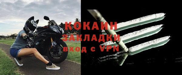 шишки Арсеньев