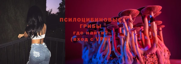 дмт Аркадак