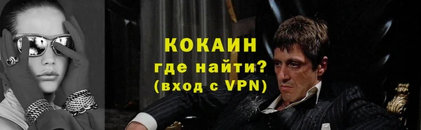 шишки Арсеньев