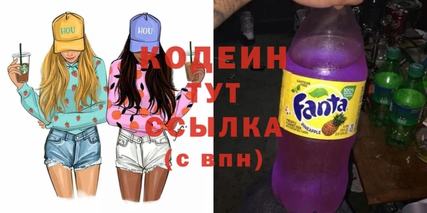 шишки Арсеньев