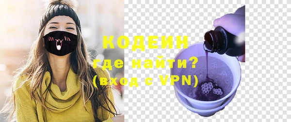 шишки Арсеньев